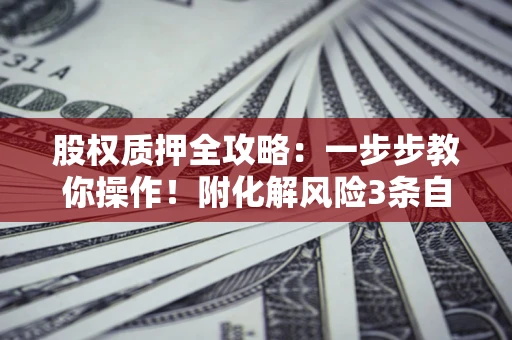 北京股权质押全攻略：一步步教你操作！附化解风险3条自救法则