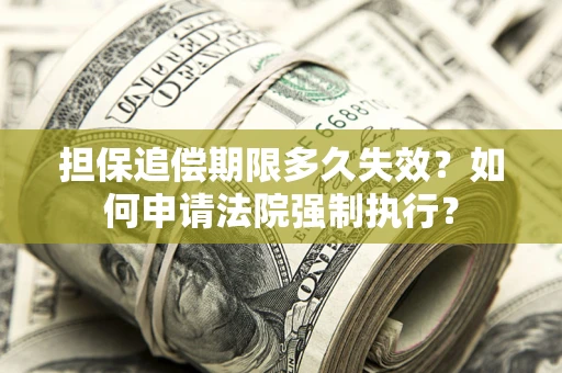 北京担保追偿期限多久失效？如何申请法院强制执行？