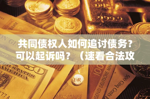 北京共同债权人如何追讨债务？可以起诉吗？（速看合法攻略）